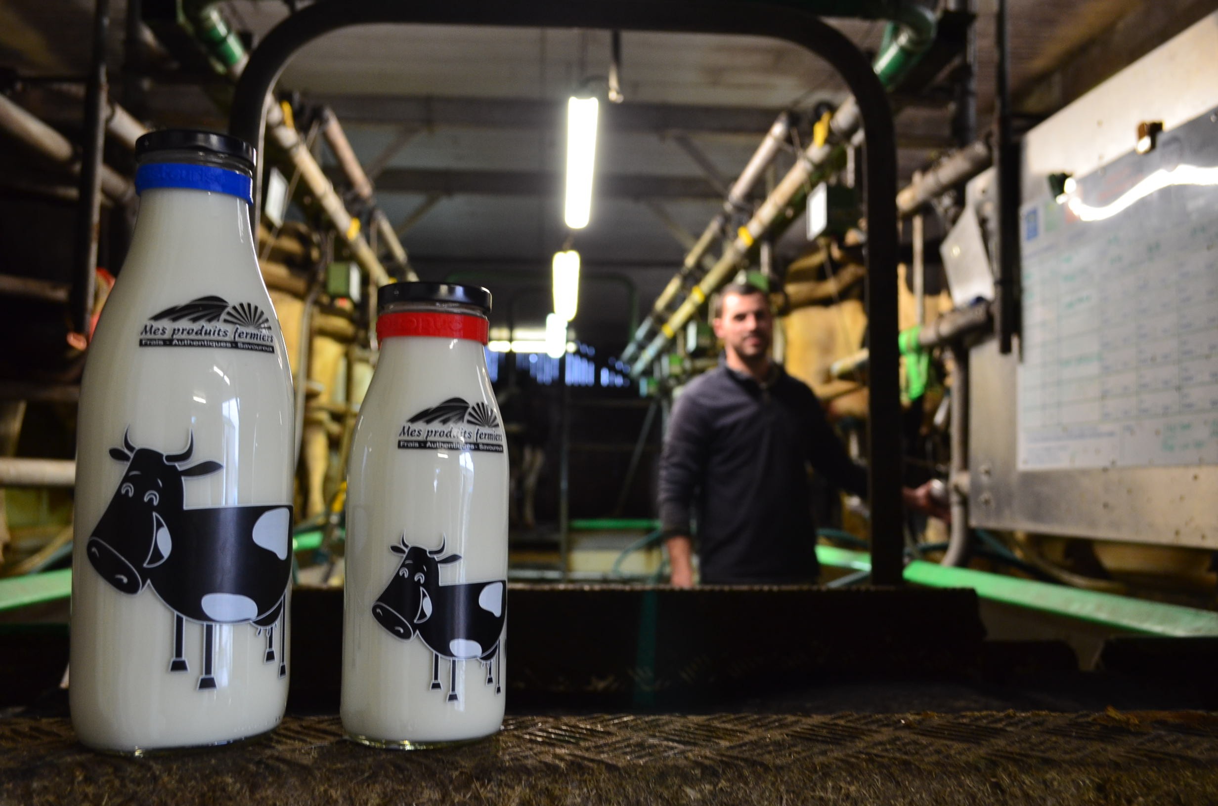 Photo des bouteilles pendant la traite