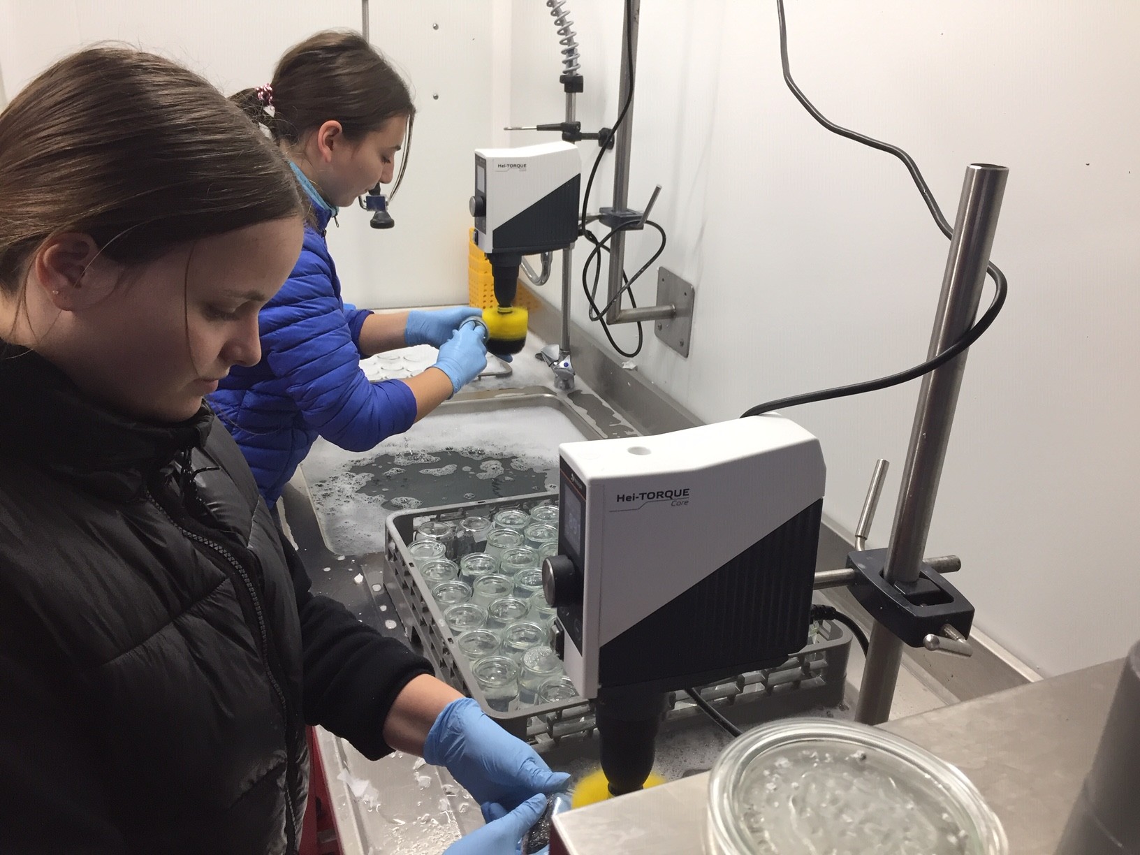 Lavage et désinfection des bocaux