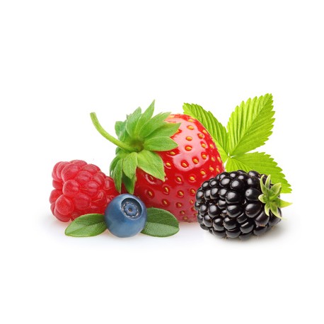Yaourts aux fruits des bois