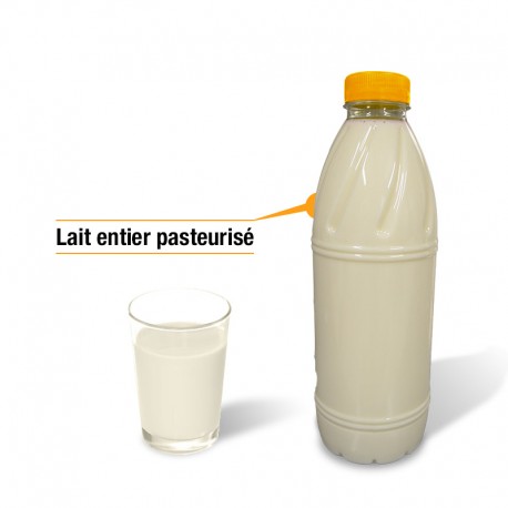Lait entier pasteurisé (bouteille plastique)