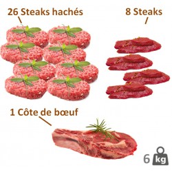 Lot steak haché+++